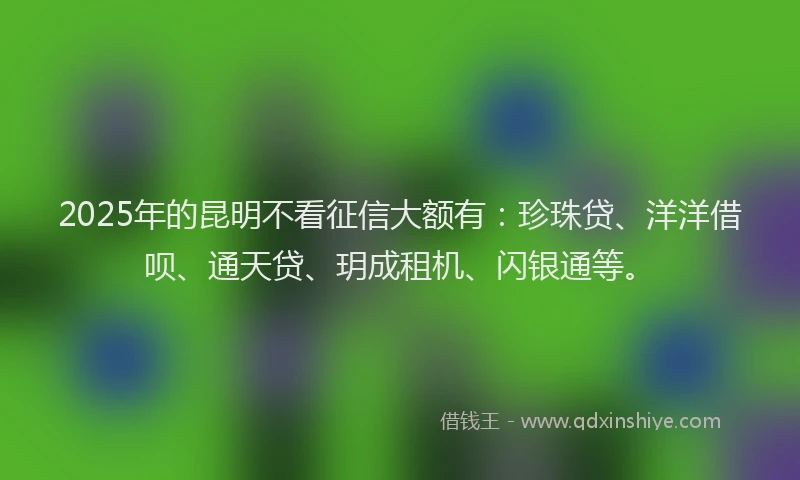 2025年的昆明不看征信大额有：珍珠贷、洋洋借呗、通天贷、玥成租机、闪银通等。