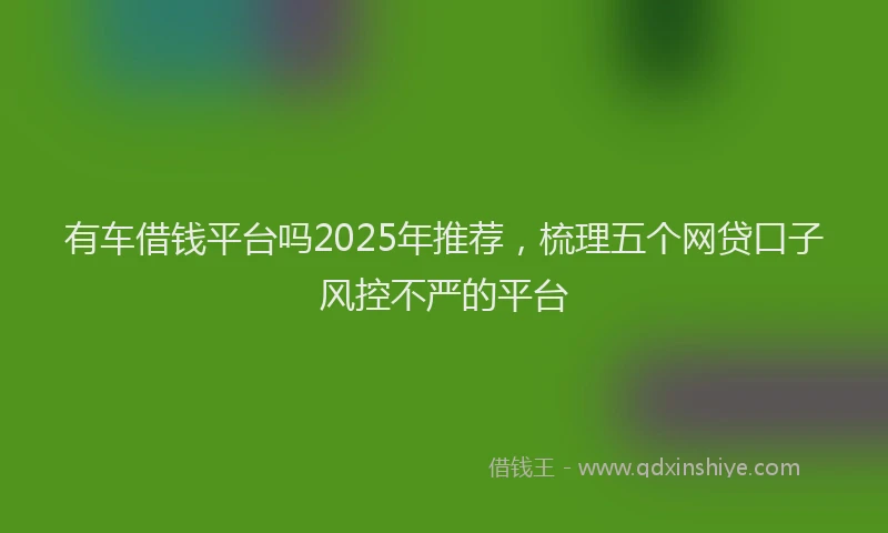 有车借钱平台吗2025年推荐，梳理五个网贷口子风控不严的平台