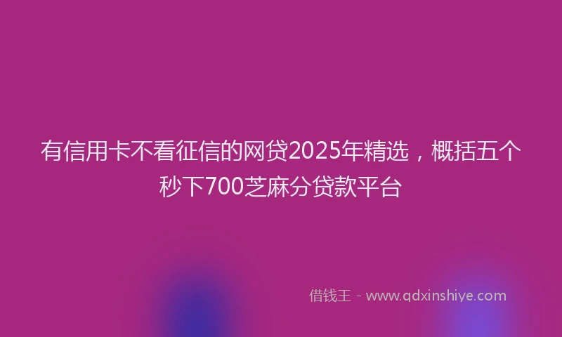 有信用卡不看征信的网贷2025年精选，概括五个秒下700芝麻分贷款平台