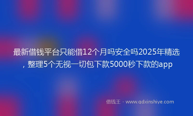 最新借钱平台只能借12个月吗安全吗2025年精选，整理5个无视一切包下款5000秒下款的app