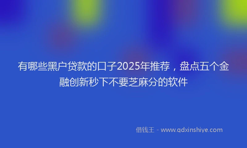 有哪些黑户贷款的口子2025年推荐，盘点五个金融创新秒下不要芝麻分的软件