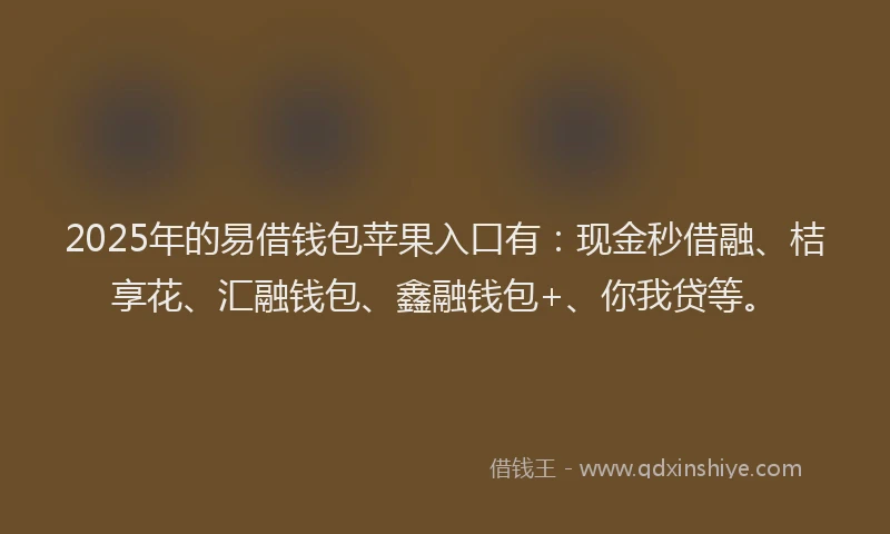 2025年的易借钱包苹果入口有：现金秒借融、桔享花、汇融钱包、鑫融钱包+、你我贷等。