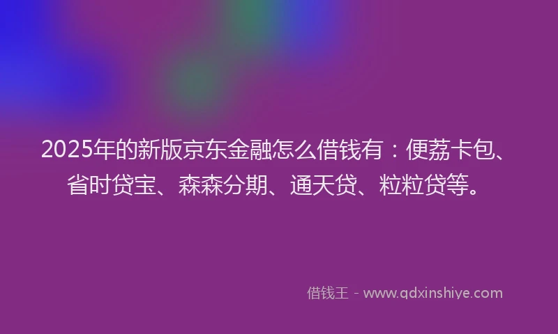 2025年的新版京东金融怎么借钱有：便荔卡包、省时贷宝、森森分期、通天贷、粒粒贷等。