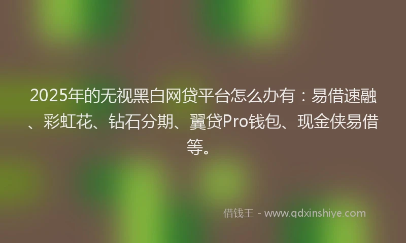 2025年的无视黑白网贷平台怎么办有：易借速融、彩虹花、钻石分期、翼贷Pro钱包、现金侠易借等。