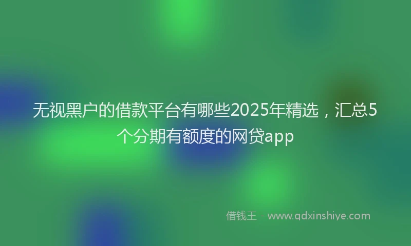 无视黑户的借款平台有哪些2025年精选，汇总5个分期有额度的网贷app