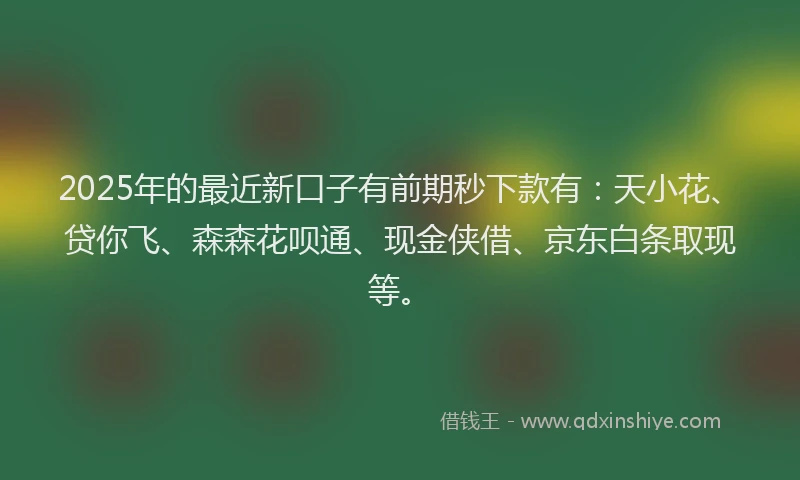 2025年的最近新口子有前期秒下款有：天小花、贷你飞、森森花呗通、现金侠借、京东白条取现等。