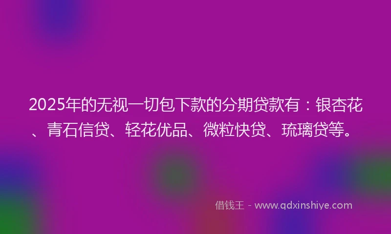 2025年的无视一切包下款的分期贷款有：银杏花、青石信贷、轻花优品、微粒快贷、琉璃贷等。