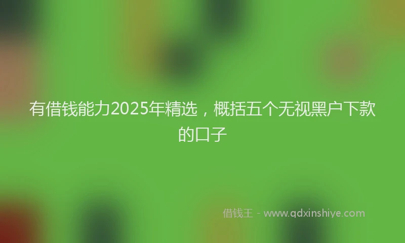 有借钱能力2025年精选，概括五个无视黑户下款的口子