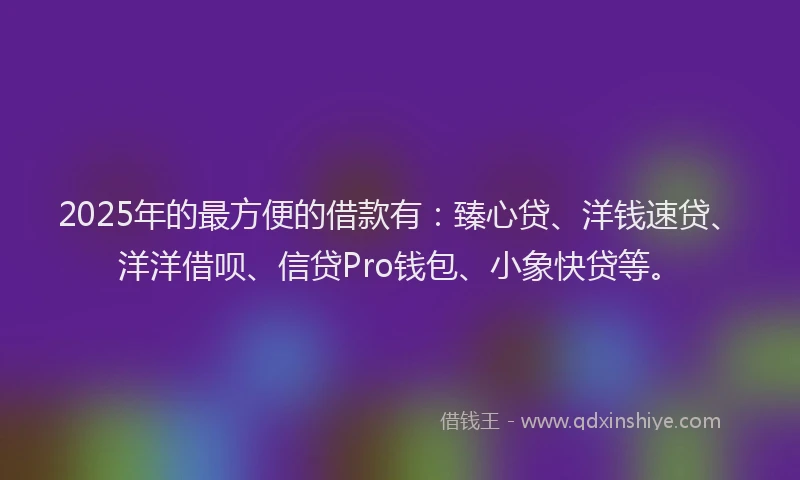 2025年的最方便的借款有：臻心贷、洋钱速贷、洋洋借呗、信贷Pro钱包、小象快贷等。