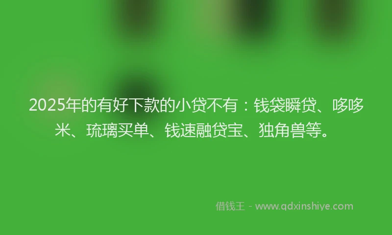 2025年的有好下款的小贷不有：钱袋瞬贷、哆哆米、琉璃买单、钱速融贷宝、独角兽等。