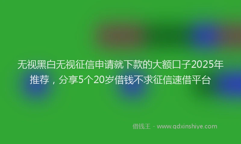 无视黑白无视征信申请就下款的大额口子2025年推荐，分享5个20岁借钱不求征信速借平台