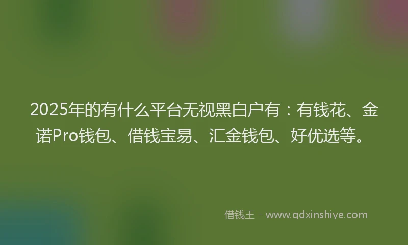 2025年的有什么平台无视黑白户有：有钱花、金诺Pro钱包、借钱宝易、汇金钱包、好优选等。