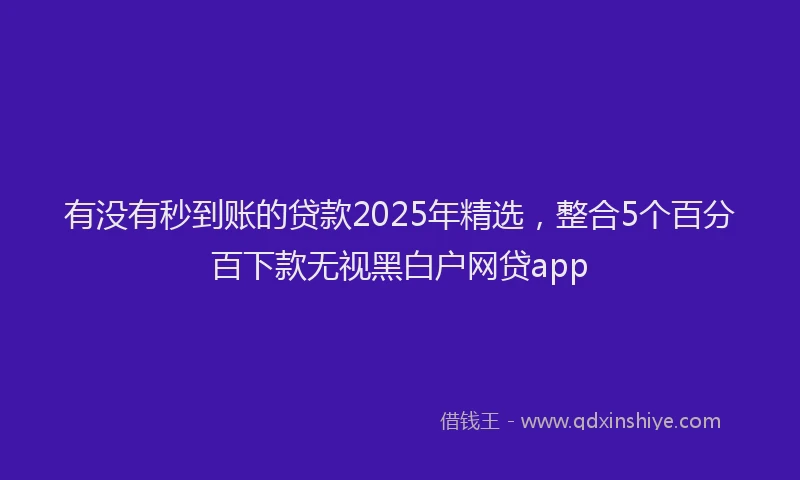 有没有秒到账的贷款2025年精选，整合5个百分百下款无视黑白户网贷app