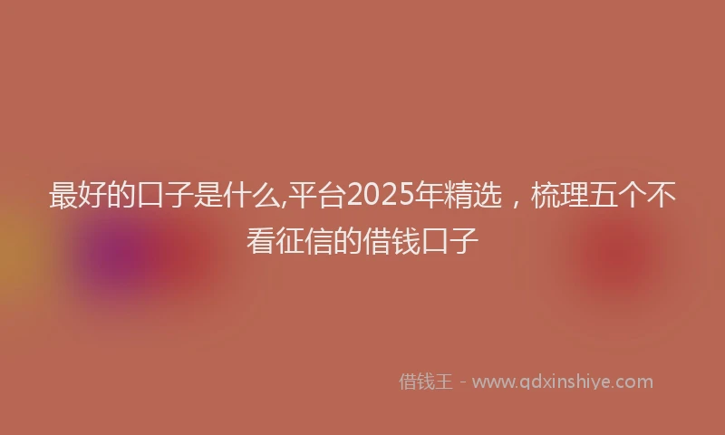 最好的口子是什么,平台2025年精选，梳理五个不看征信的借钱口子