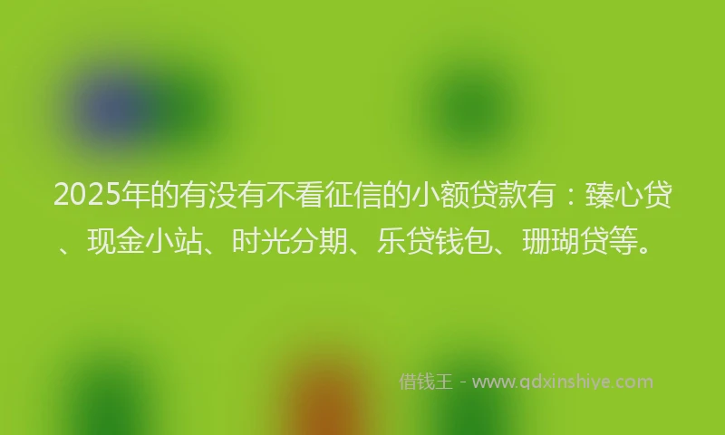 2025年的有没有不看征信的小额贷款有：臻心贷、现金小站、时光分期、乐贷钱包、珊瑚贷等。