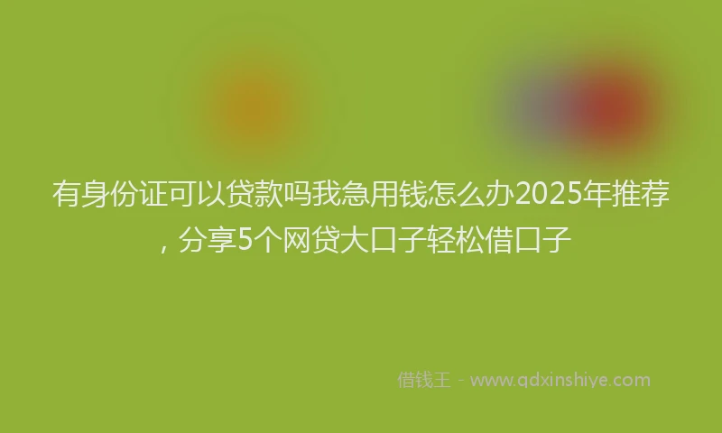 有身份证可以贷款吗我急用钱怎么办2025年推荐，分享5个网贷大口子轻松借口子