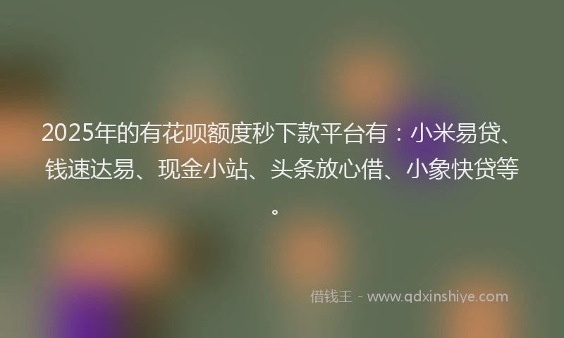 2025年的有花呗额度秒下款平台有：小米易贷、钱速达易、现金小站、头条放心借、小象快贷等。