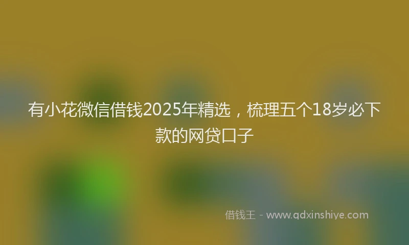 有小花微信借钱2025年精选，梳理五个18岁必下款的网贷口子