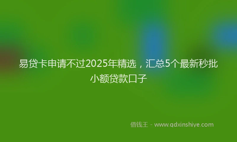 易贷卡申请不过2025年精选，汇总5个最新秒批小额贷款口子