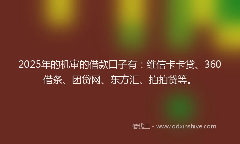 2025年的机审的借款口子有：维信卡卡贷、360借条、团贷网、东方汇、拍拍贷等。