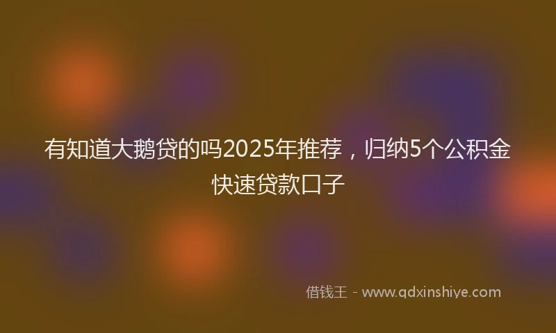 有知道大鹅贷的吗2025年推荐，归纳5个公积金快速贷款口子
