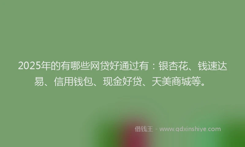 2025年的有哪些网贷好通过有：银杏花、钱速达易、信用钱包、现金好贷、天美商城等。