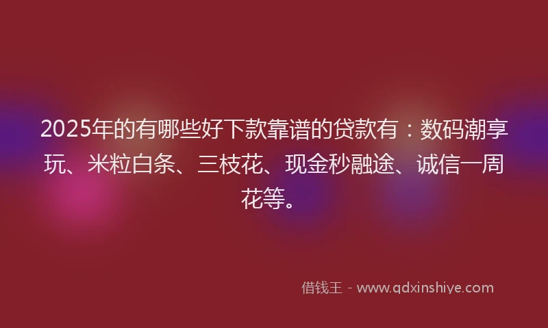 2025年的有哪些好下款靠谱的贷款有：数码潮享玩、米粒白条、三枝花、现金秒融途、诚信一周花等。