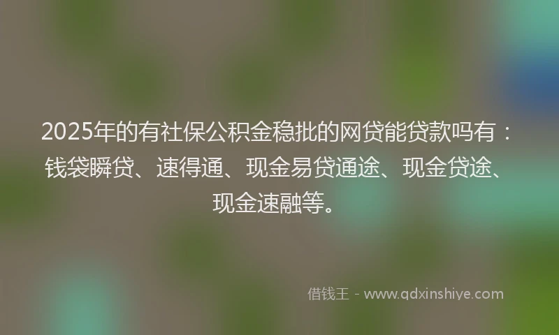 2025年的有社保公积金稳批的网贷能贷款吗有：钱袋瞬贷、速得通、现金易贷通途、现金贷途、现金速融等。