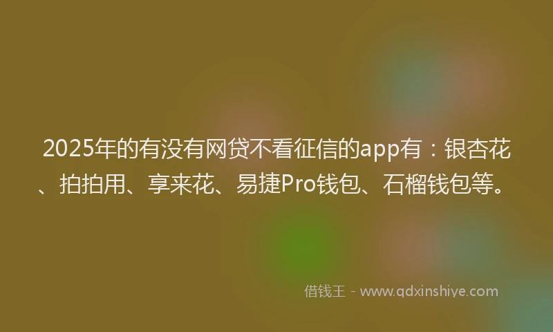 2025年的有没有网贷不看征信的app有：银杏花、拍拍用、享来花、易捷Pro钱包、石榴钱包等。