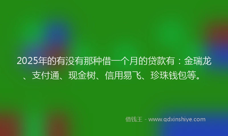 2025年的有没有那种借一个月的贷款有：金瑞龙、支付通、现金树、信用易飞、珍珠钱包等。