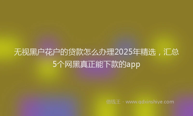 无视黑户花户的贷款怎么办理2025年精选，汇总5个网黑真正能下款的app