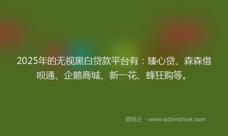 2025年的无视黑白贷款平台有：臻心贷、森森借呗通、企鹅商城、新一花、蜂狂购等。