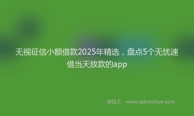 无视征信小额借款2025年精选，盘点5个无忧速借当天放款的app