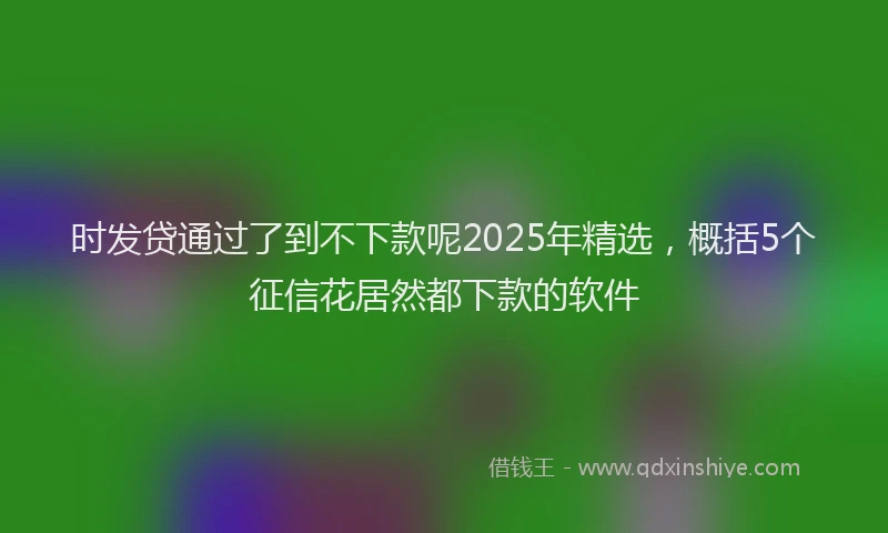 时发贷通过了到不下款呢2025年精选，概括5个征信花居然都下款的软件