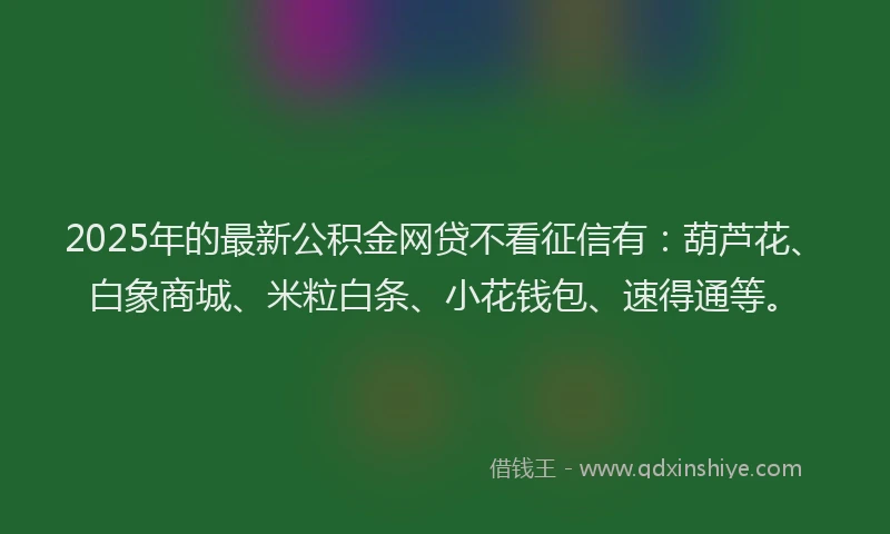 2025年的最新公积金网贷不看征信有：葫芦花、白象商城、米粒白条、小花钱包、速得通等。