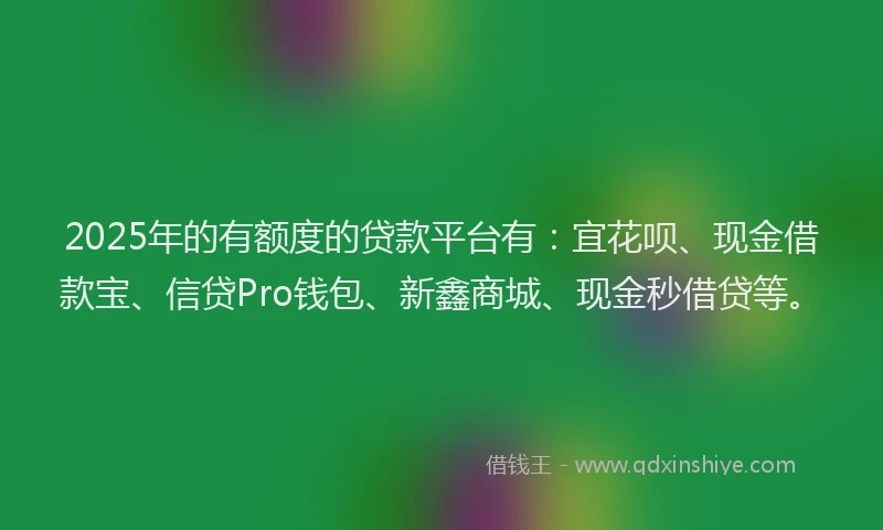2025年的有额度的贷款平台有：宜花呗、现金借款宝、信贷Pro钱包、新鑫商城、现金秒借贷等。