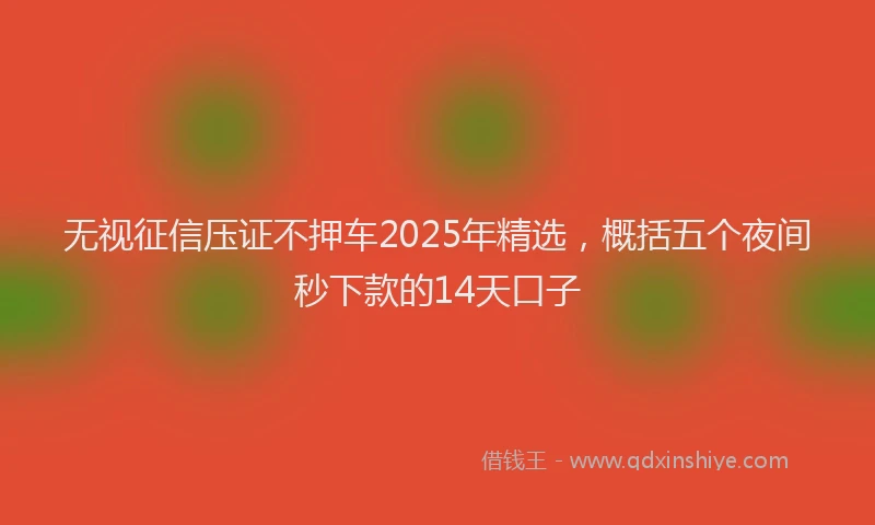 无视征信压证不押车2025年精选，概括五个夜间秒下款的14天口子