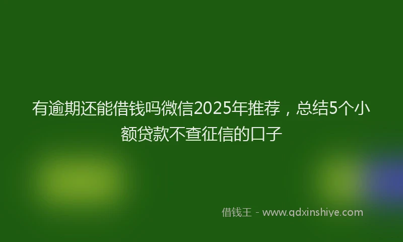 有逾期还能借钱吗微信2025年推荐，总结5个小额贷款不查征信的口子