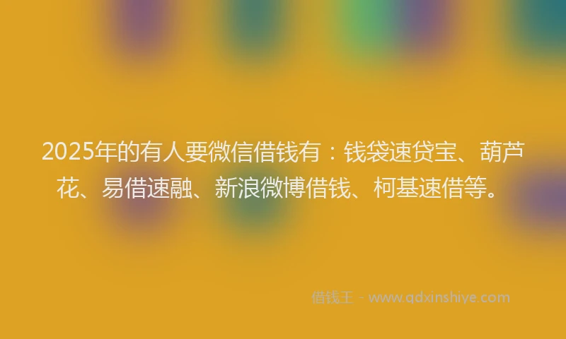 2025年的有人要微信借钱有：钱袋速贷宝、葫芦花、易借速融、新浪微博借钱、柯基速借等。