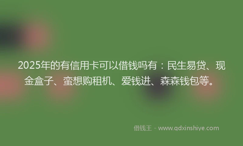 2025年的有信用卡可以借钱吗有：民生易贷、现金盒子、蛮想购租机、爱钱进、森森钱包等。