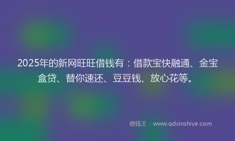 2025年的新网旺旺借钱有：借款宝快融通、金宝盒贷、替你速还、豆豆钱、放心花等。