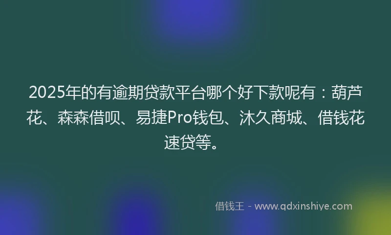 2025年的有逾期贷款平台哪个好下款呢有：葫芦花、森森借呗、易捷Pro钱包、沐久商城、借钱花速贷等。