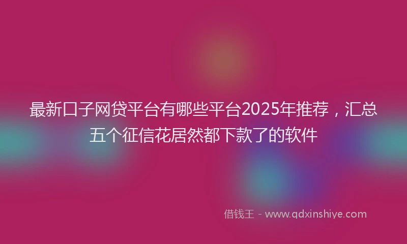 最新口子网贷平台有哪些平台2025年推荐，汇总五个征信花居然都下款了的软件