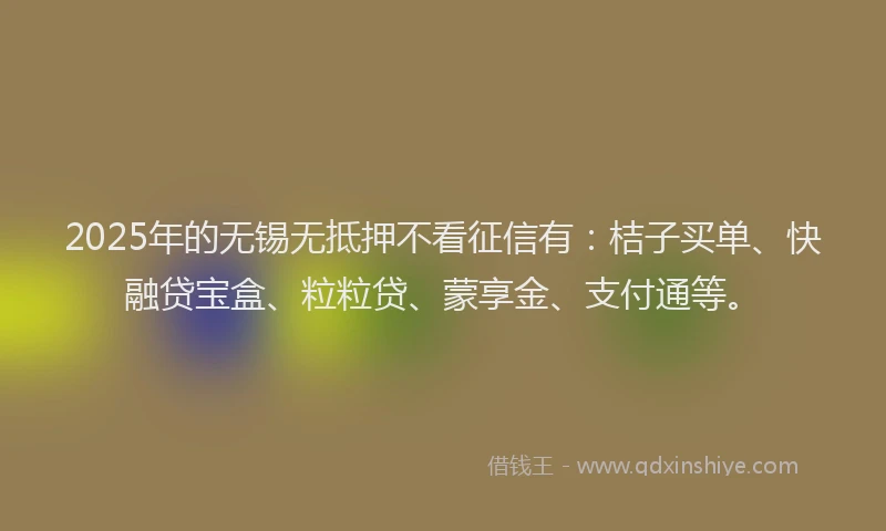 2025年的无锡无抵押不看征信有：桔子买单、快融贷宝盒、粒粒贷、蒙享金、支付通等。