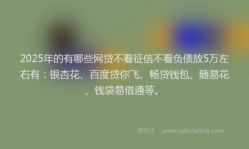 2025年的有哪些网贷不看征信不看负债放5万左右有：银杏花、百度贷你飞、畅贷钱包、随易花、钱袋易借通等。