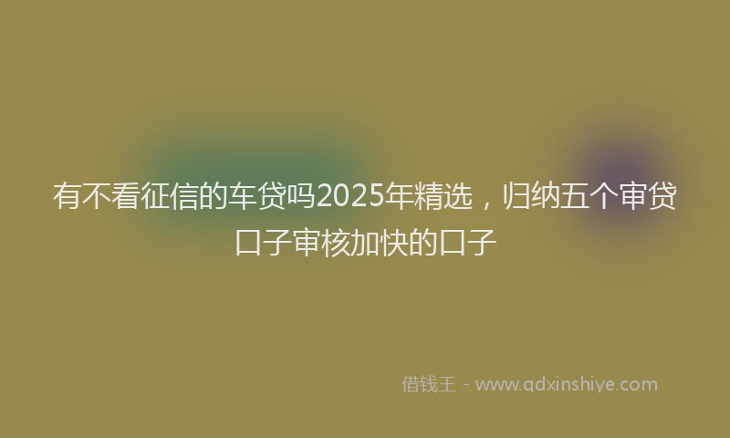 有不看征信的车贷吗2025年精选，归纳五个审贷口子审核加快的口子
