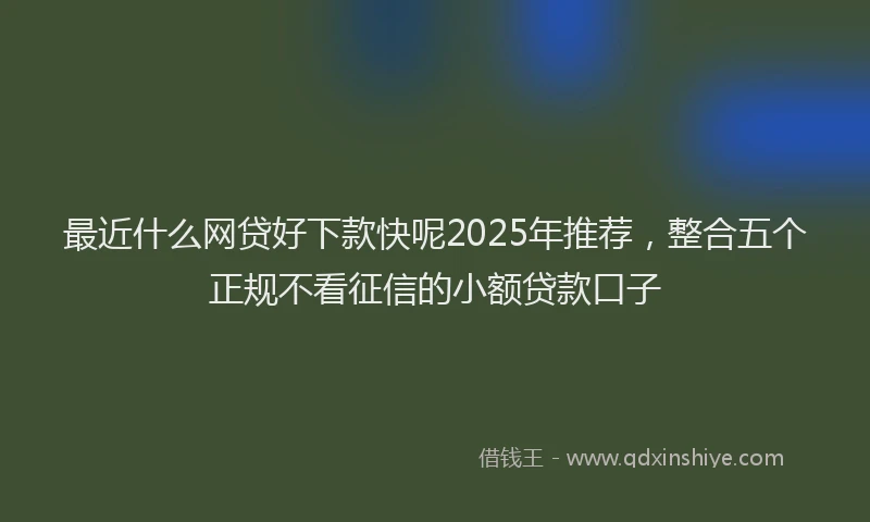 最近什么网贷好下款快呢2025年推荐，整合五个正规不看征信的小额贷款口子
