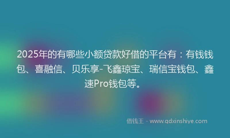 2025年的有哪些小额贷款好借的平台有：有钱钱包、喜融信、贝乐享-飞鑫琼宝、瑞信宝钱包、鑫速Pro钱包等。