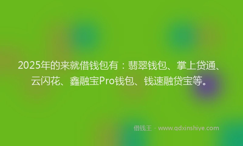 2025年的来就借钱包有：翡翠钱包、掌上贷通、云闪花、鑫融宝Pro钱包、钱速融贷宝等。