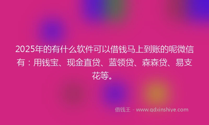 2025年的有什么软件可以借钱马上到账的呢微信有：用钱宝、现金直贷、蓝领贷、森森贷、易支花等。